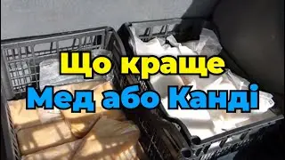 Канді або мед - чи потрібні  дотації  бджолам під час зимівлі пасіки. .