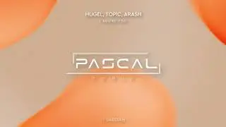 HUGEL x Topic x Arash feat. Daecolm - I Adore You (PASCAL Remix)