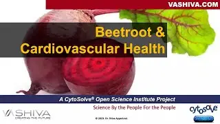 Dr.SHIVA™: Beetroot & Cardiovascular Health - A CytoSolve® Molecular Systems Analysis