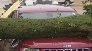 Heavy storms result in roof damage, uprooted and downed trees in Kewaunee