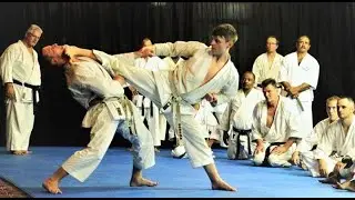 The Best And Most Technical Of Karate Masters  - ANDRE BERTEL  