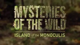 Trailer: Mysteries of The Wild de Rui Veiga