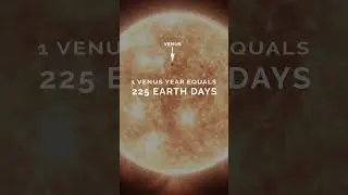 Venus Has A Unique Orbit #shorts