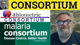 🔵 Consortium Meaning - Consortium Definition - Consortium Examples - Business English - Consortium