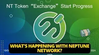 What's Happening with Neptune Network? | UPDATE