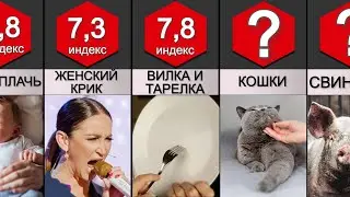 Раздражающие ЗВУКИ