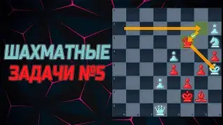 Шахматы задачи №5. Решаю шахматные задачки на мат