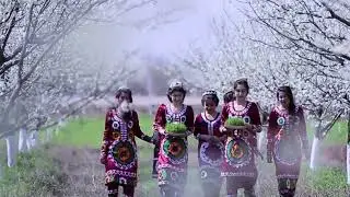 🎼Бахор омадай. суруди нав 2021🎶🎤 САФАРМУРОДИ ГУЛМУРОД