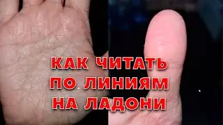 Как читать по линиям рук (Хиромантия). Полный разбор ладони. Урок для новичков и начинающих