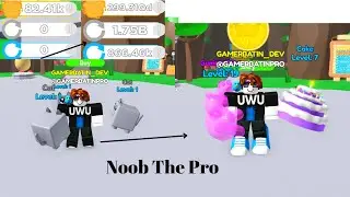 Noob The Pro | New Game | Rebirth Simulator X