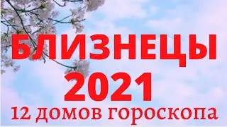 Близнецы 2021 год расклад 12 домов гороскопа