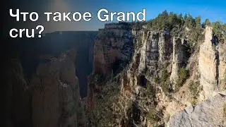 Энциклопедия вина: Что такое Grand cru?