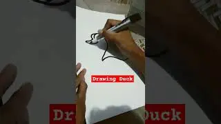 drawing duck