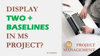 Display two or more baselines in MS Project | Project Management