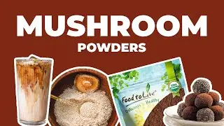 Why You Should Add Mushroom Powder to Your Daily Routine 🍄‍🟫