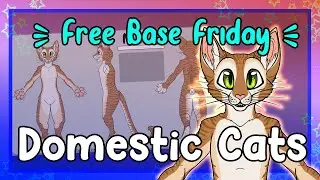 [FBF] Domestic Cats Ref Sheet Base