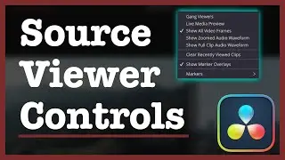 Gang Viewers? Live Media Preview?? Learn Source Viewer Controls in DaVinci Resolve in 5 Minutes!