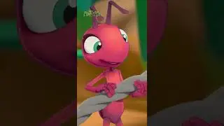 Go Go Go | Antiks 🐜 | Funny Cartoons for Kids