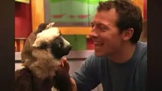 Martin Kratt Talks "Zoboomafoo" and "Wild Kratts": Interview Snippet for Animation World Network