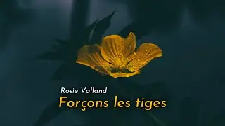 Rosie Valland - Forçons les tiges (Lyrics | Paroles)