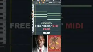 Free Rema Afrobeat midi chord DND