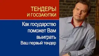 Как государство поможет Вам выиграть свой первый тендер?