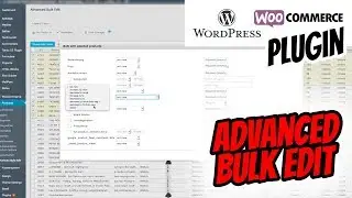 WooCommerce Advanced Bulk Edit Massenbearbeitung auf Deutsch erklärt