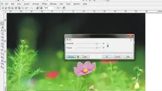 How to use Scatter  Effect on image in CorelDraw