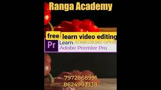 LEARN FREE VIDEO EDITING #Short #premierpro #colorcorrection