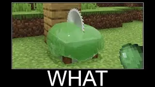 Minecraft realistic wait what meme, Lava, Water, Slime #1024