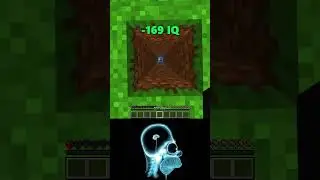 969 IQ vs 6969 IQ Minecraft World's Smallest Violin #shorts 1080p60