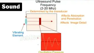 Sound - NCERT Science | CBSE Physics Class 8th | CBSE Syllabus