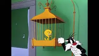 Silvestre e Tweety - Pássaro Encurralado (Catty Cornered, 1953, HD, FIXED)