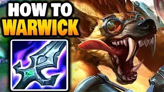 How to WARWICK Jungle in Season 14