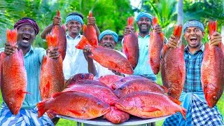 RED SNAPPER FISH | Big Fish Grill Recipe Cooking in Village | Fish Fry in Clay | Ancient Cooking