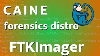 CAINE - 11 - FTKImager - data acquisition tool for imaging, live capture, and memory capture