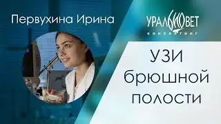 УЗИ брюшной полости. Первухина Ирина 