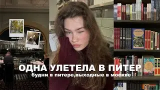 одна улетела в питер | мои будни