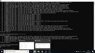 TShark - Basic Commands & Overview