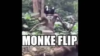 Monke flip