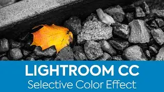 How to Create the Selective Color Effect in Lightroom CC