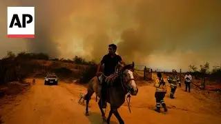 Dozens reported dead as Chile wildfires move into densely populated areas