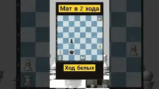 Telegram: Albinachess #шахматы #chess #chorts