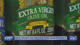 Dr. Campbell: Extra virgin oil may help prevent Alzheimer’s