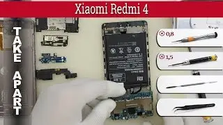 How to disassemble 📱 Xiaomi Redmi 4 Take apart Tutorial