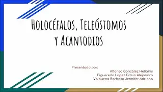 Holocéfalos, Teléostomos y Acantodios