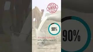 Camel milk #datavisualization  #news  #ranking