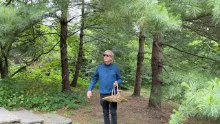 Hello, Summer! Baking, Cleaning My Chandeliers, & Walking in the Garden