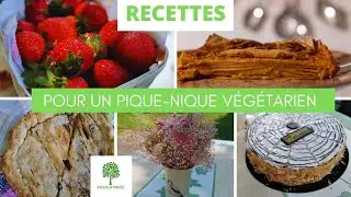 3 RECETTES pour un PIQUE-NIQUE VÉGÉTARIEN | LUNDI VERT n°229