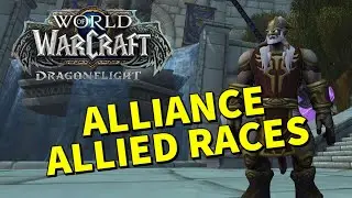 Guide to Alliance Allied Races | World of Warcraft